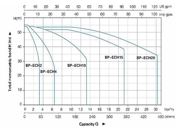 BP-ECH